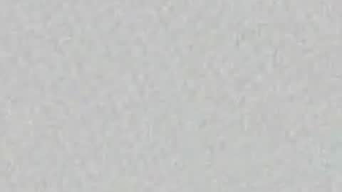 regina online show from 04.29.26