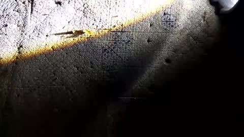 Snapshot of sinar2bulungan chatting on 02.16.26 sinar2bulungan online show from 02.16.26