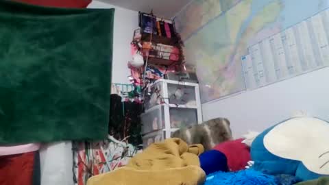 Siofra online show from 09.14.25