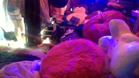 Siofra online show from 03.16.26