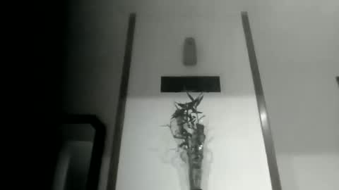 sioque376201 online show from 03.10.26