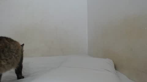 sirajones online show from 02.25.25