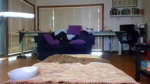 Snapshot of sissyanalslut521247 chatting on 01.17.25 sissyanalslut521247 online show from 01.17.25