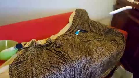 Snapshot of sissyanalslut521247 chatting on 01.18.25 sissyanalslut521247 online show from 01.18.25