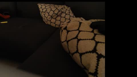 sissygirlalexandra online show from 01.26.25