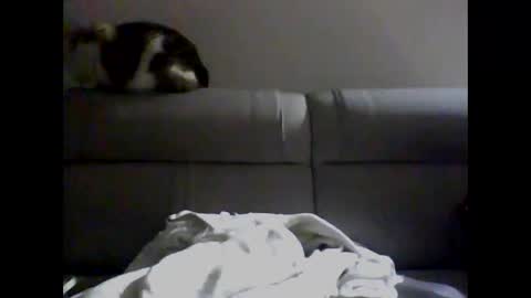 Snapshot of skater19xxx chatting on 12.02.24 miguel online show from 12.02.24