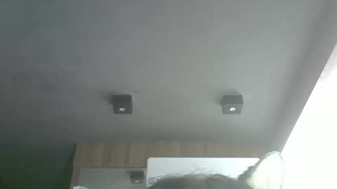 skinnykittencam online show from 03.29.26