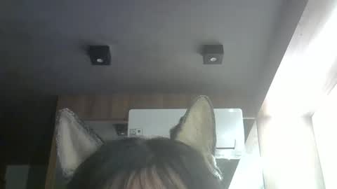 skinnykittencam online show from 04.19.26