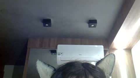 skinnykittencam online show from 05.03.26