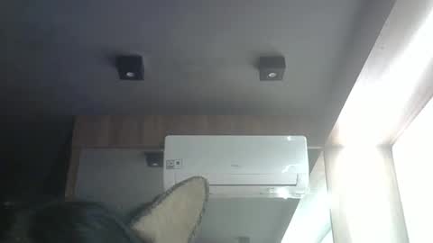 skinnykittencam online show from 05.04.26