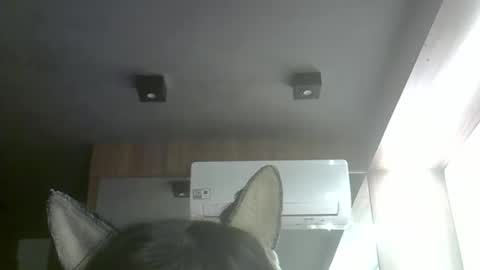 skinnykittencam online show from 05.10.26