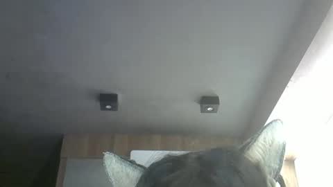 skinnykittencam online show from 05.12.26