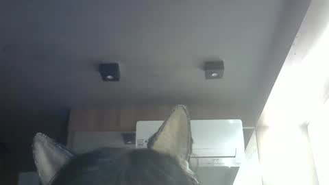 skinnykittencam online show from 05.14.26