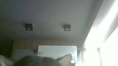 skinnykittencam online show from 05.17.26