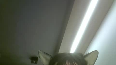 skinnykittencam online show from 05.19.26