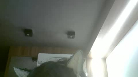 skinnykittencam online show from 05.20.26