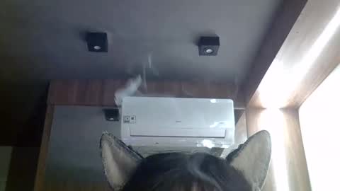 skinnykittencam online show from 05.20.26