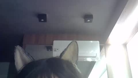 skinnykittencam online show from 05.21.26