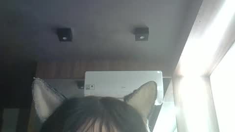skinnykittencam online show from 05.23.26