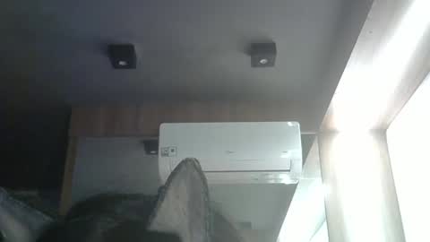 skinnykittencam online show from 05.24.26