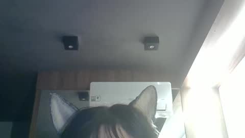 skinnykittencam online show from 05.26.26