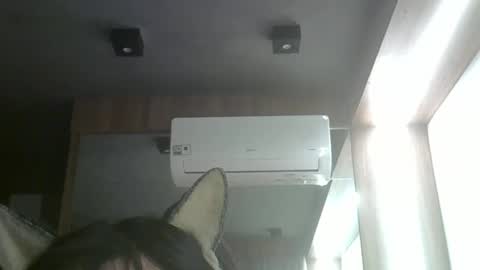 skinnykittencam online show from 05.26.26