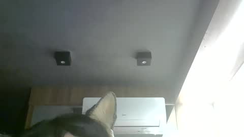 skinnykittencam online show from 05.28.26
