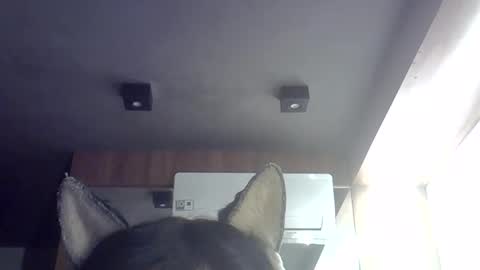 skinnykittencam online show from 05.29.26