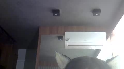 skinnykittencam online show from 05.30.26