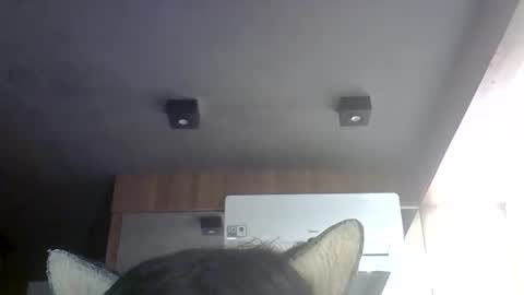 skinnykittencam online show from 05.30.26
