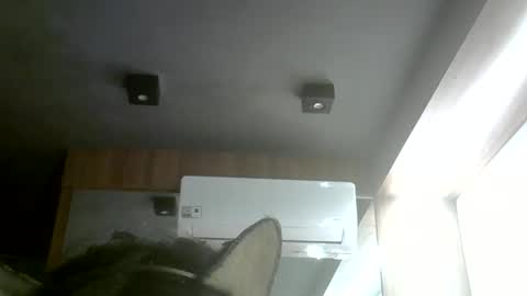 skinnykittencam online show from 05.31.26