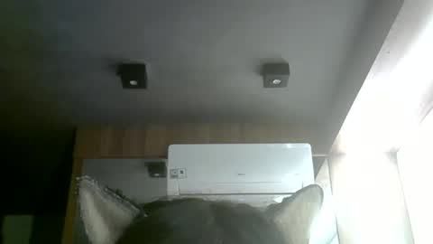 skinnykittencam online show from 06.01.26