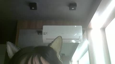 skinnykittencam online show from 06.03.26