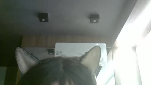 skinnykittencam online show from 06.05.26