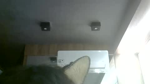 skinnykittencam online show from 06.06.26