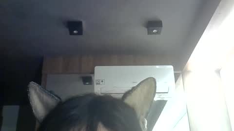 skinnykittencam online show from 06.09.26