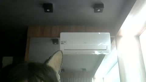 skinnykittencam online show from 06.12.26