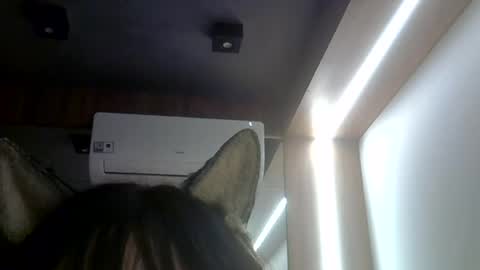 skinnykittencam online show from 07.23.26