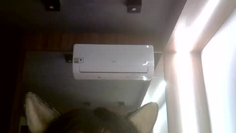 skinnykittencam online show from 07.25.26