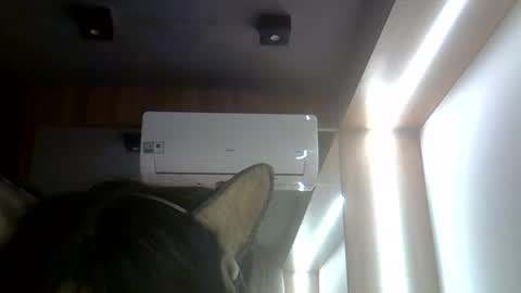 skinnykittencam online show from 07.26.26