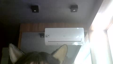 skinnykittencam online show from 07.28.26