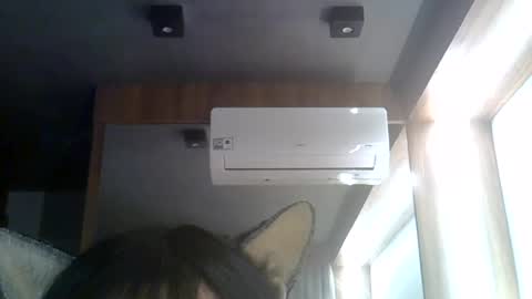 skinnykittencam online show from 08.05.26
