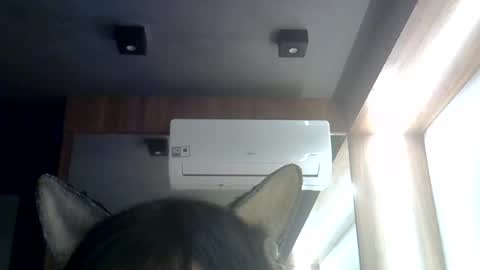 skinnykittencam online show from 08.06.26