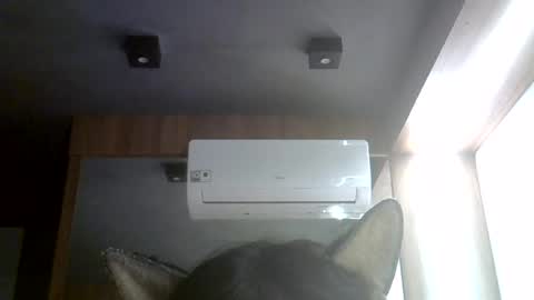 skinnykittencam online show from 08.07.26
