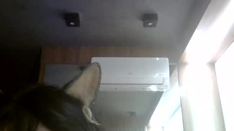 skinnykittencam online show from 08.07.26