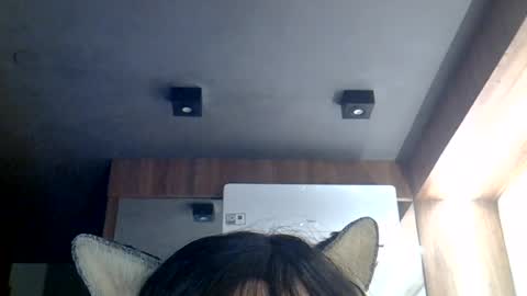 skinnykittencam online show from 08.08.26