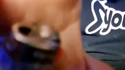 Snapshot of skunk8p chatting on 01.11.26 skunk8p online show from 01.11.26