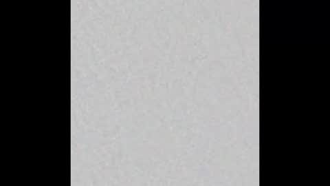 skylerbloom online show from 11.24.25