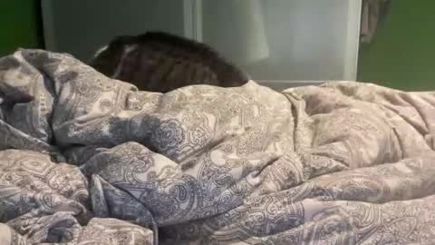 Snapshot of slice5 chatting on 12.21.25 slice5 online show from 12.21.25