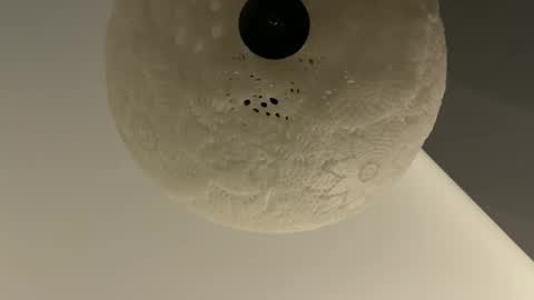 Snapshot of slimguy03 chatting on 01.28.25 slimguy03 online show from 01.28.25